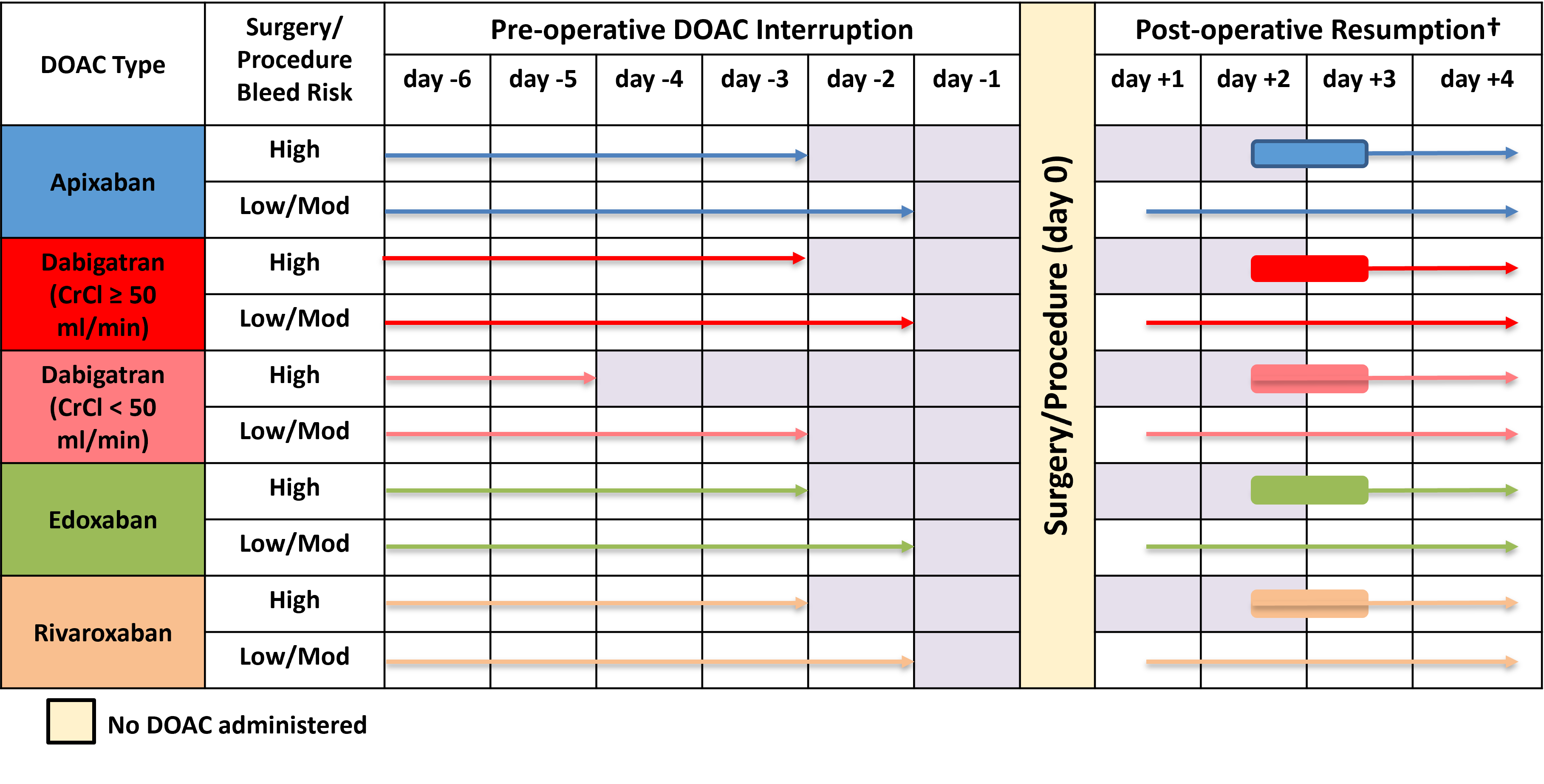 Perioperative timeline for DOACs including Apixaban, showing when to stop and restart around procedures