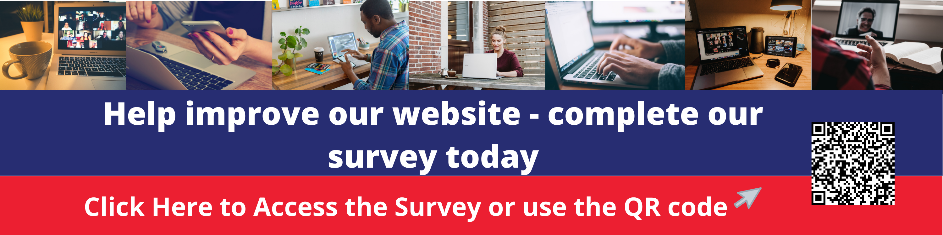 Website-survey
